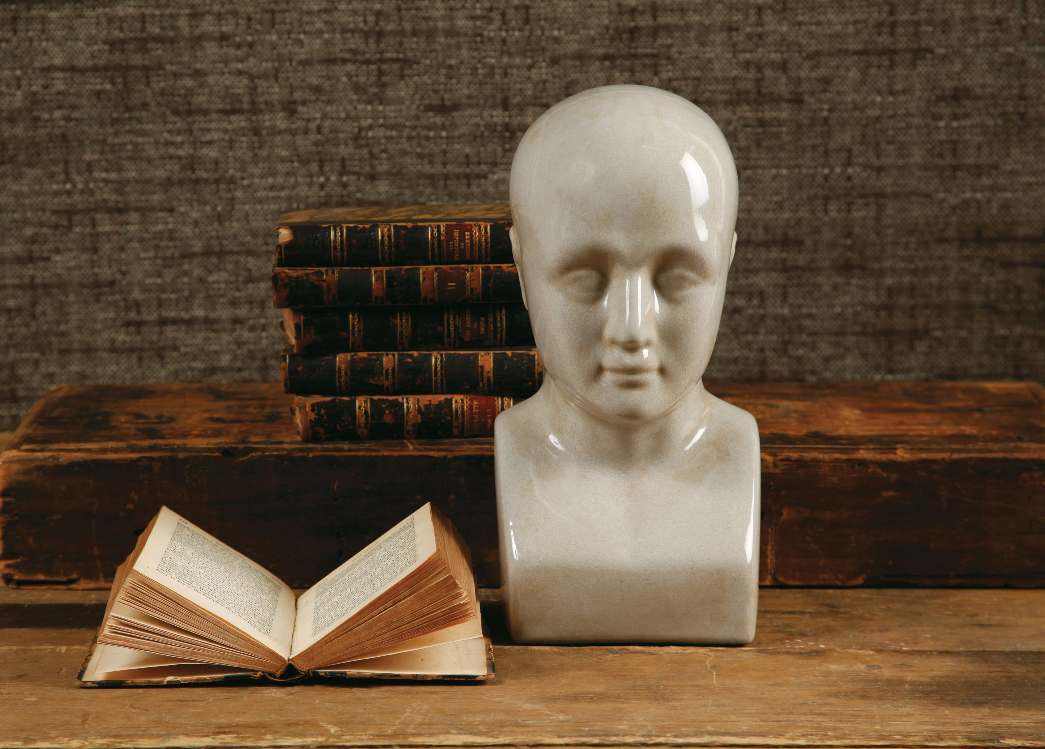 Phrenology Head | A Giveaway from The Inglenook Decor