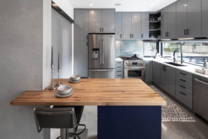 Newcastle Homes uCrane House Austin Modern 2019