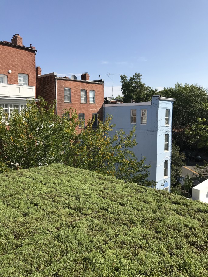 Gardner Architects living roof