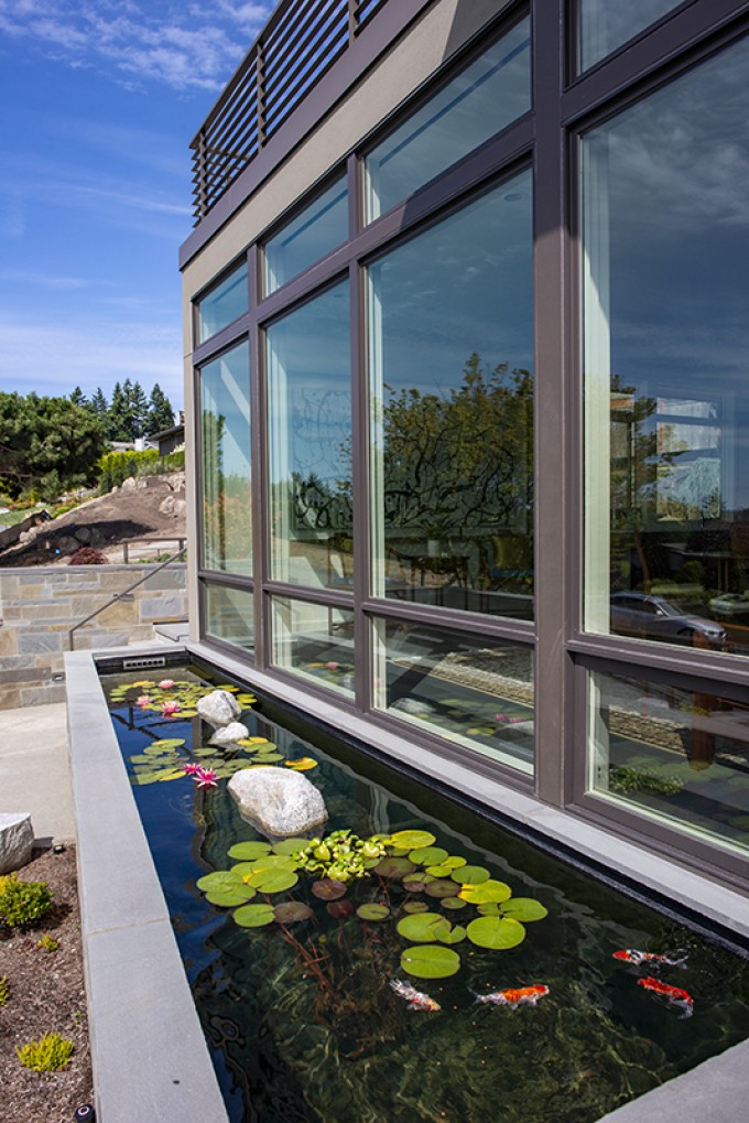 Baylis Architects Koi Pond